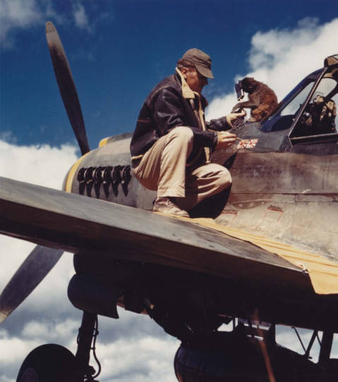 第八航空队战史——第4章: 残酷的交锋_战斗机的_目标_中尉