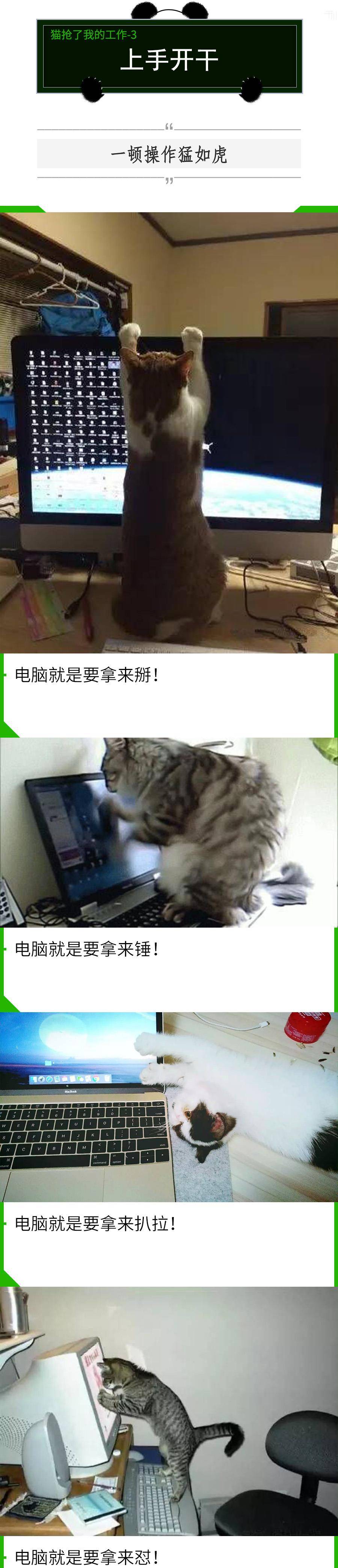 我的猫抢了我的工做！老板永久不晓得，在对面打发他的是人是猫？