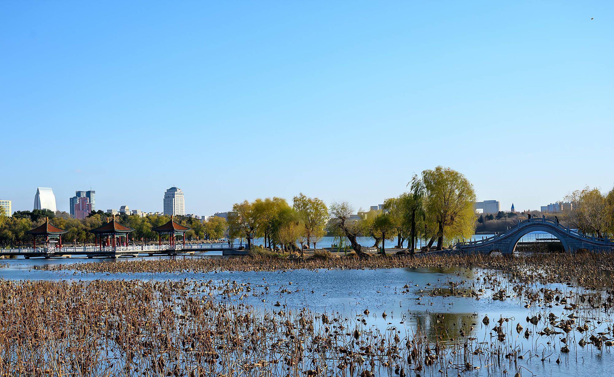 实拍长春南湖公园,曾经的皇家园林公园,景色不输国家5a级景区_城市_总