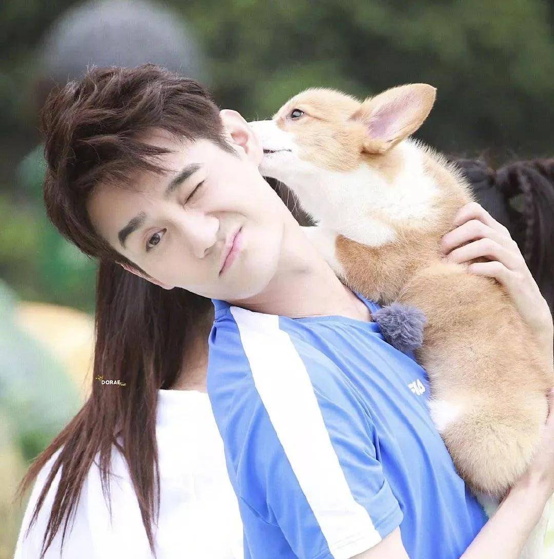 王凯:我属狗,我也爱狗!_王嘉尔_开心_节目