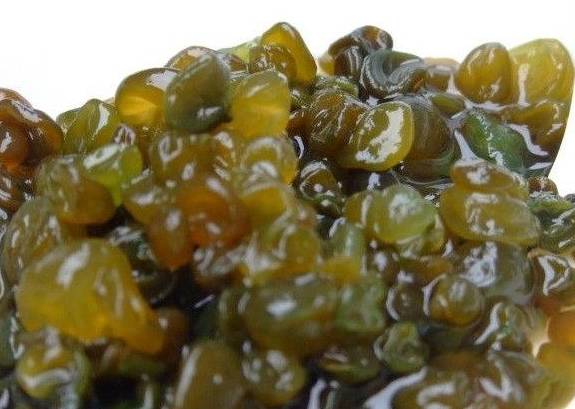 这种长在农村稻田里的蔬菜 现在已经十分稀少 你们有没有吃过(图4)