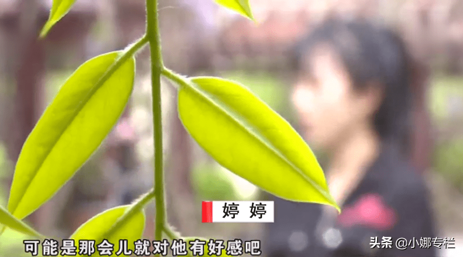 真没想到（假怀孕整蛊室友）假怀孕的搞笑视频 第6张