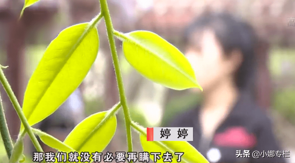 真没想到（假怀孕整蛊室友）假怀孕的搞笑视频 第5张