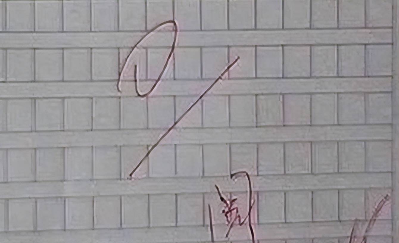 国产ChatGPT崛起！MOSS挑战者，能回答你的所有问题吗？