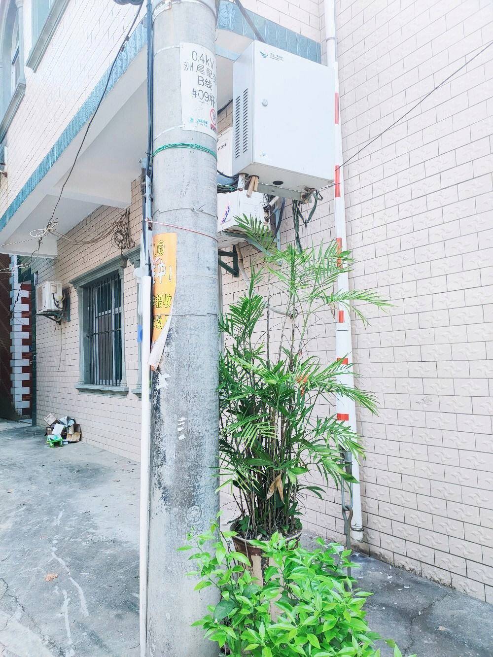 李理谦:门前有电线杆对家庭的风水上有什么影响?如何化解?