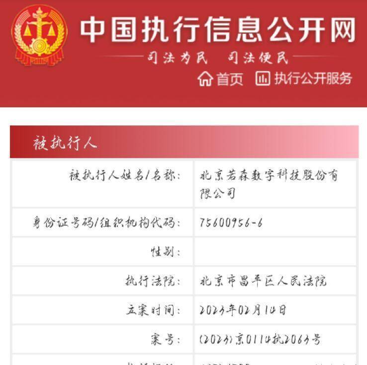 历史被执行人不良记录（被执行人 历史被执行人） 第8张