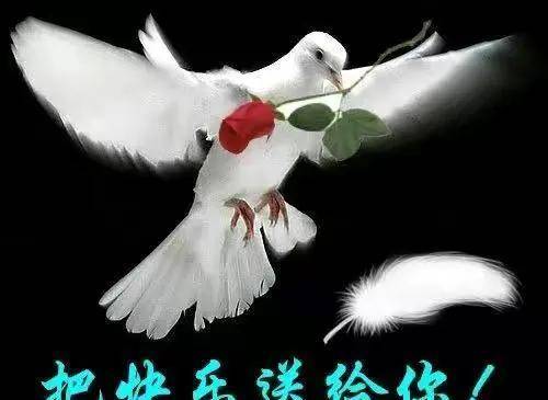 去有风的地方，去有云的地方(有风景的地方就有诗)