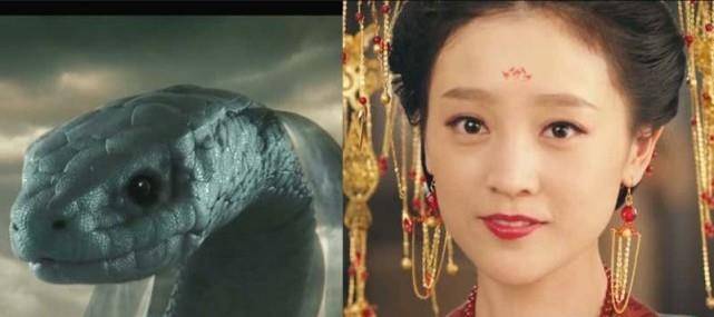 原创
            同样是现出原形，鞠婧祎灵动，白素贞唯美，杨紫的原型也太可爱了1