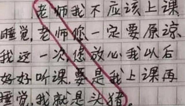 速看（学生万能检讨书500字）学生认错检讨书500字 第1张