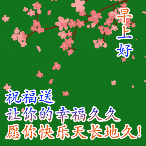2月27日清晨早上好漂亮表情图片祝福语,2023最美早上好鲜花图片问候