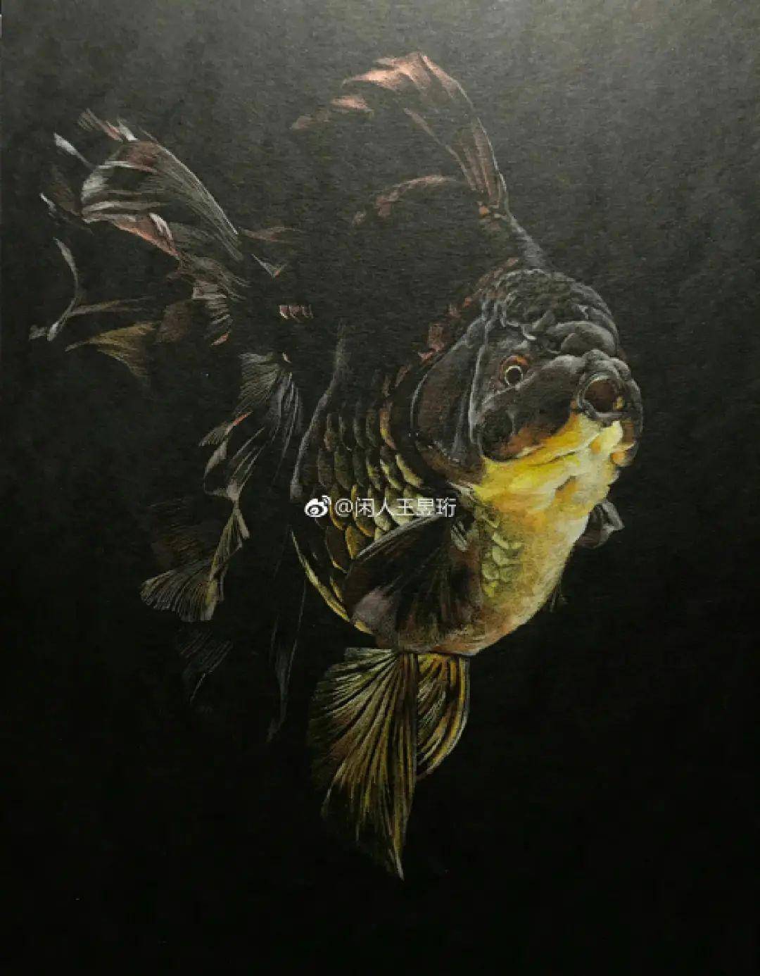 水哥的画他所做的一切都是基于他自己的喜好.