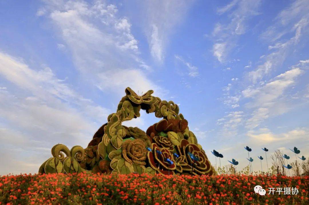 摄影作品欣赏:我眼中的唐山花海_建设_公众_时刻