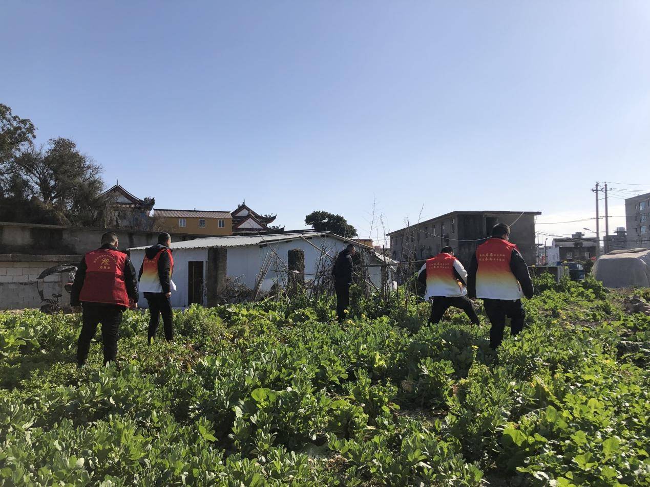 乐清市翁垟街道开展禁种铲毒宣传进山林_禁毒_种植_进行