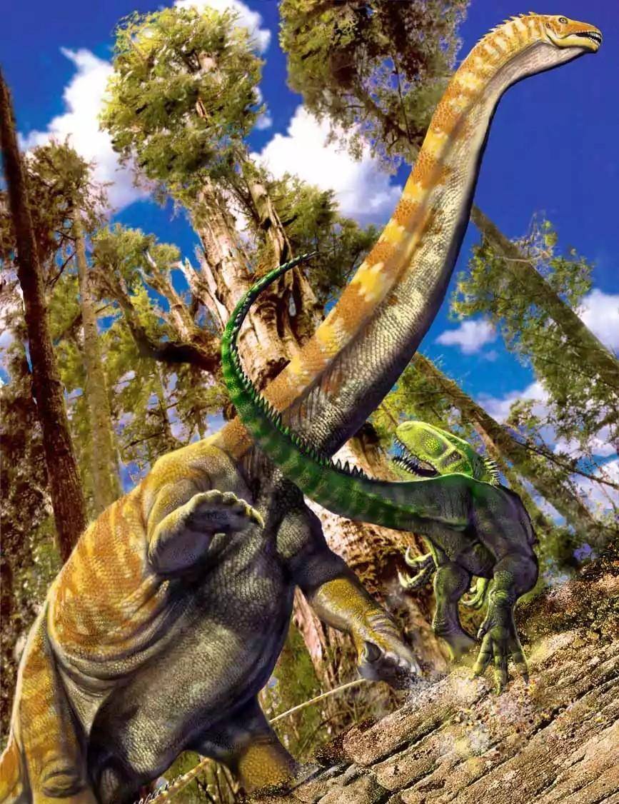 蜥脚类恐龙的图片和简介(四)_脖子_尺寸_生活