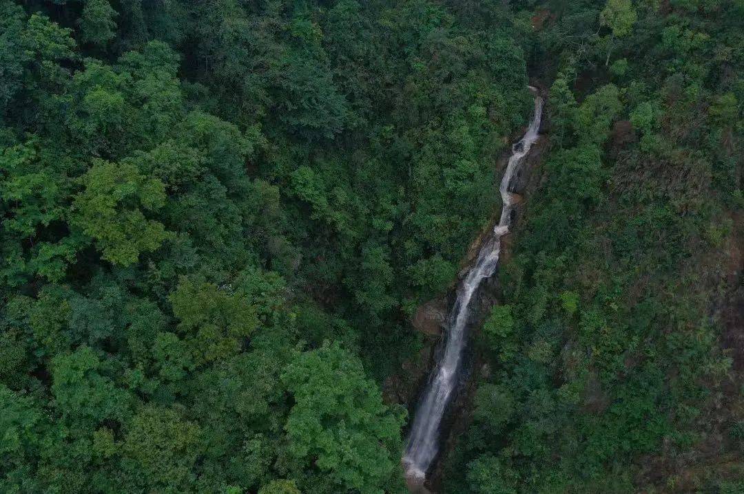 乐享云南|美景·五老山国家森林公园_临沧市_国家有关_绿林