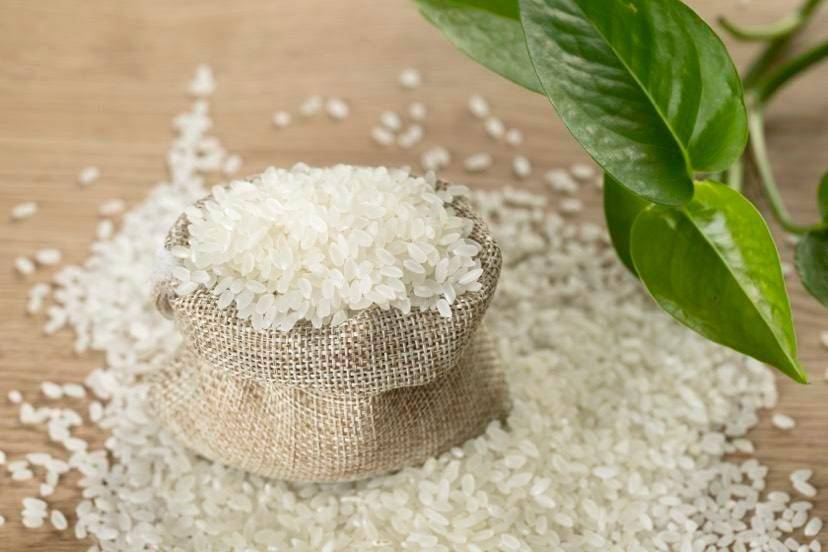 口感_我国_贡米