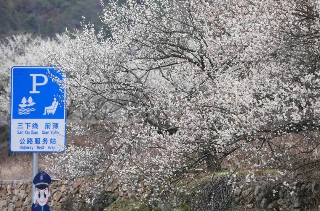 建德三都非遗（建德市三都镇三都村） 第4张