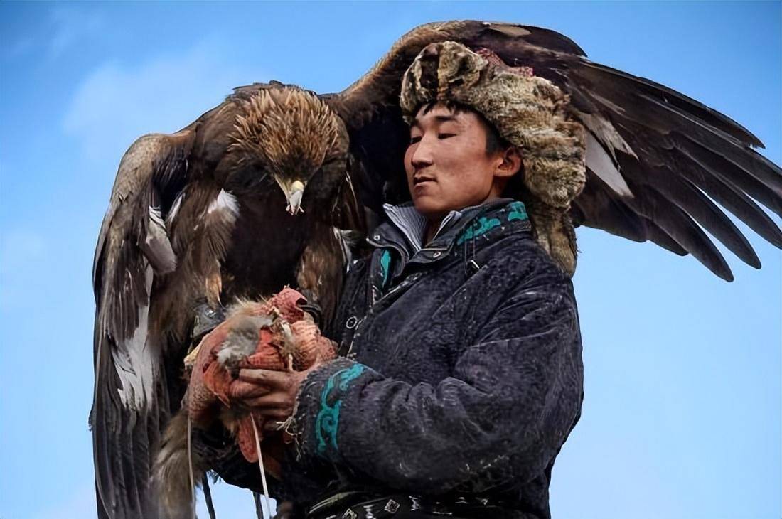 驯服金雕有多难?一人一鹰七天不合眼,神秘的熬鹰究竟有多残忍?