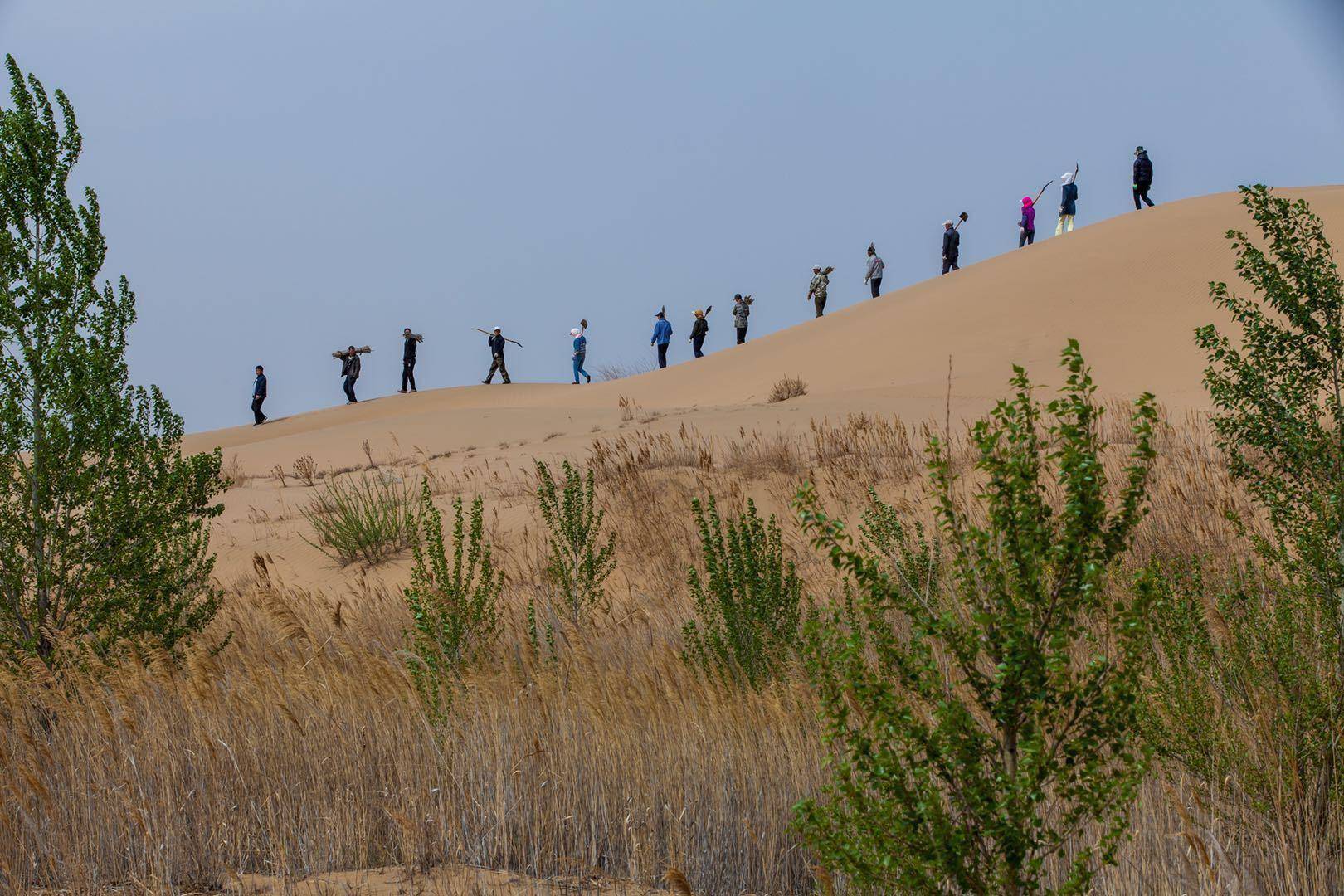 中国人种树有多牛?30年干掉千年老沙漠,面积相当于7个韩国