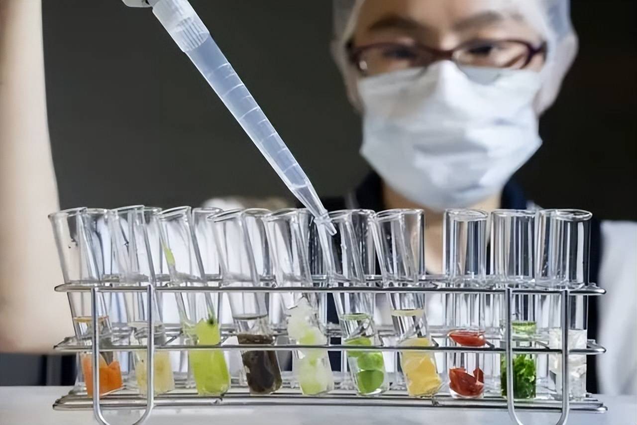 纳米胶囊作"外衣" 农药施用高效又安全_剂型_传统_性能