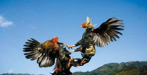 《法经》为了整治赌博规定士民赌博者"罚金三币",太子赌博"苔刑三十"