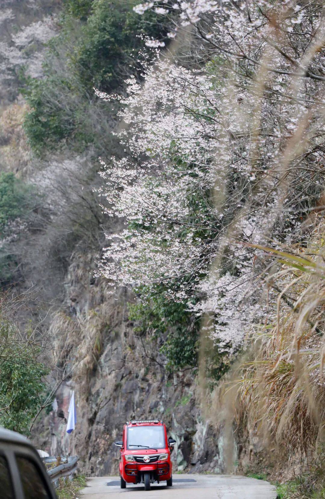 建德三都非遗（建德市三都镇三都村） 第16张