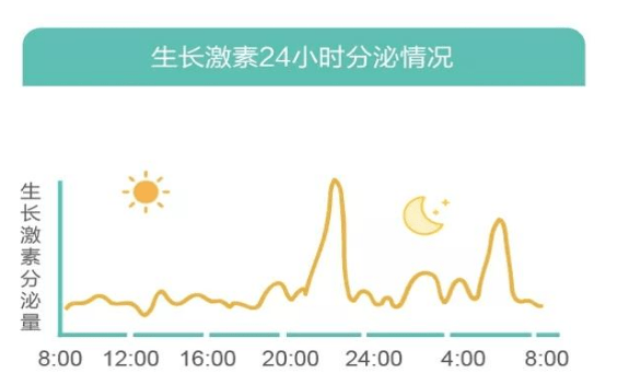 也就是说一天二十四小时内,每个时间段人体的生长激素分泌量都是一直