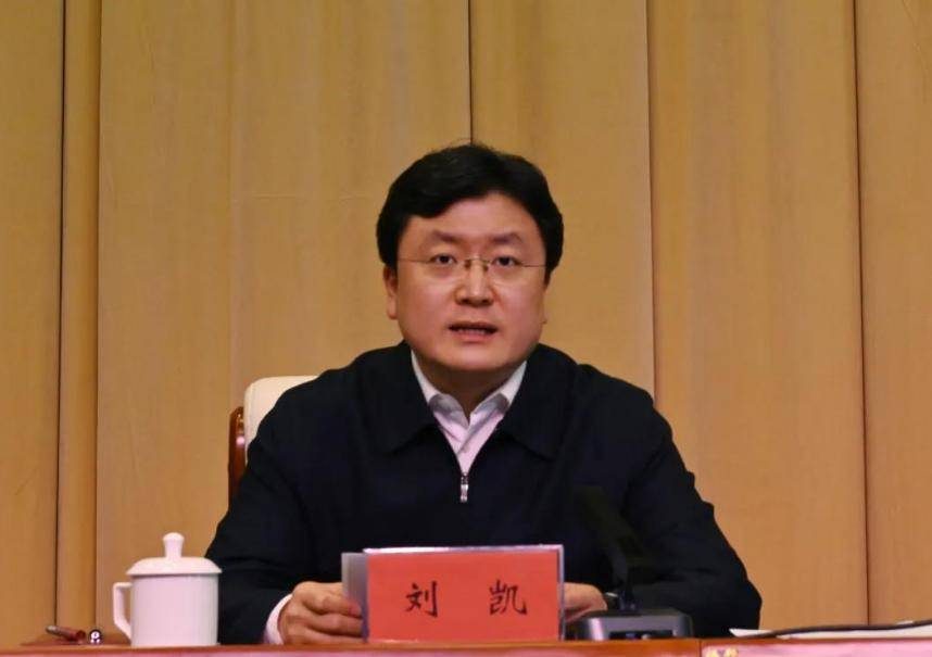 刘凯_队伍_工作