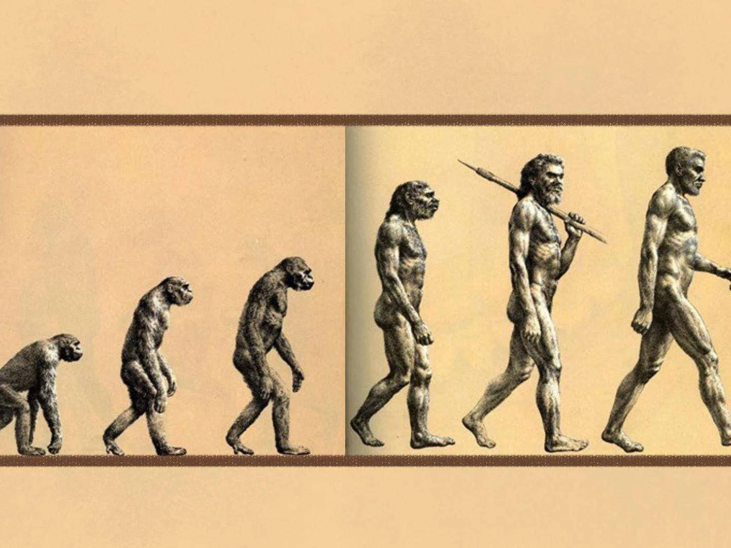 达尔文进化论蔡健雅图片