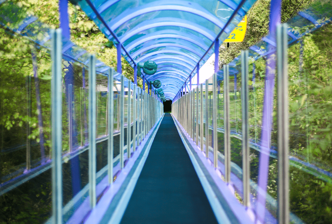 现在出门真的好怕爬山啊,飞天魔毯真的是神器,上山只要坐上魔毯,轻