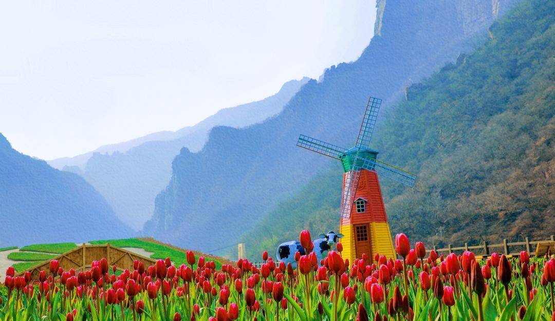 百万花海丨河南这个景区邀你共赴"春日盛宴",女神节优惠来袭!