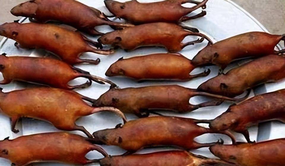 美食_中国_野味