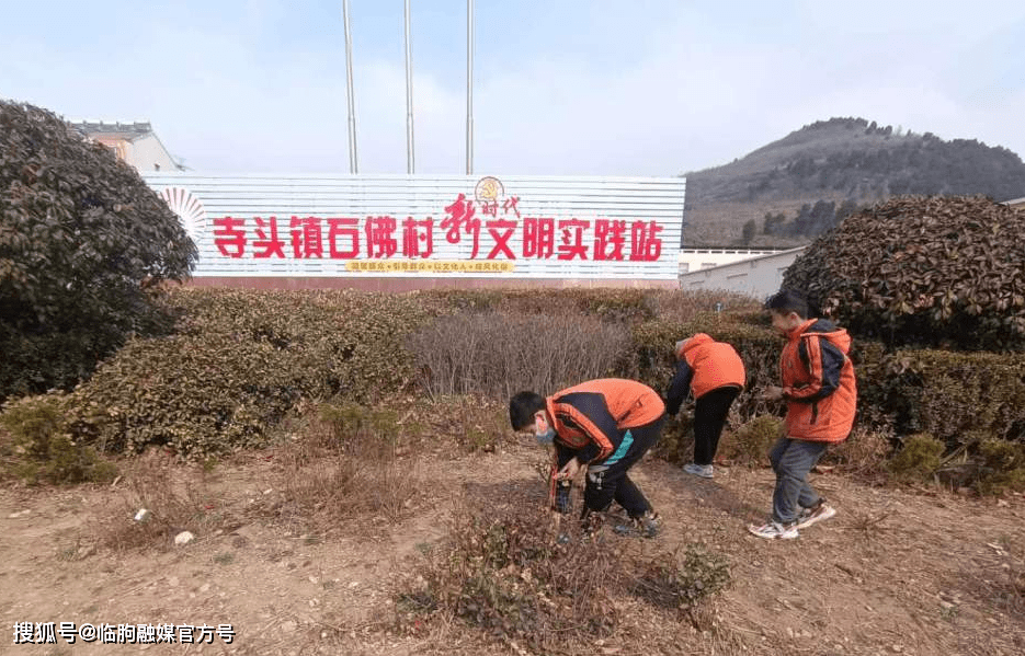 临朐寺头特大新闻图片