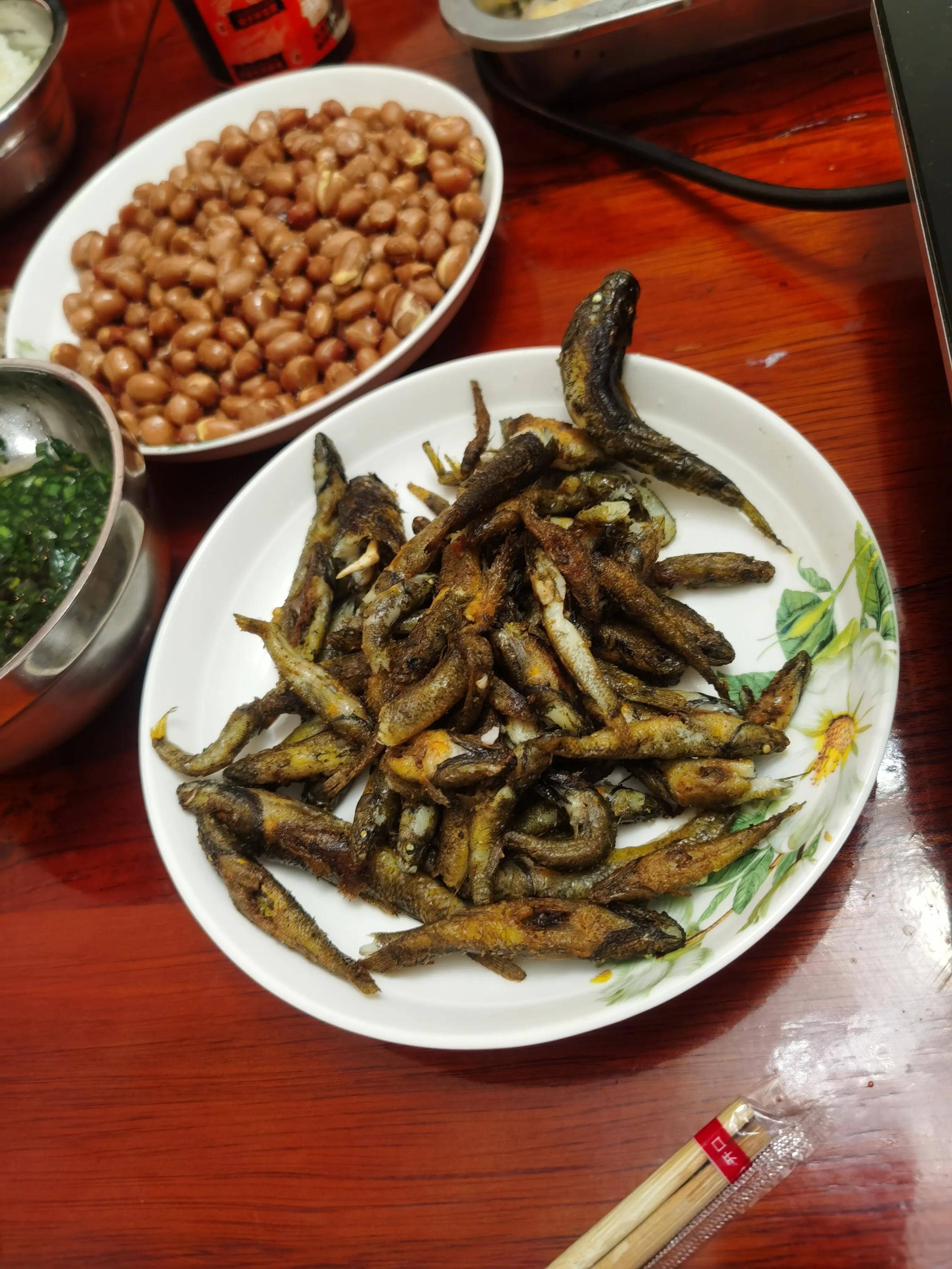 传说中的巴马油鱼