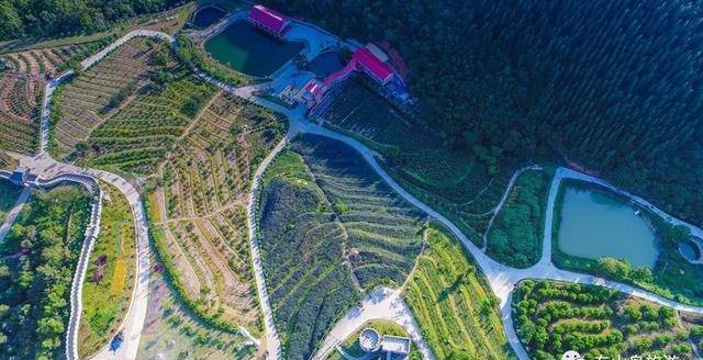 港西村,我就莫名喜欢你_东山县_山庄_龙舟