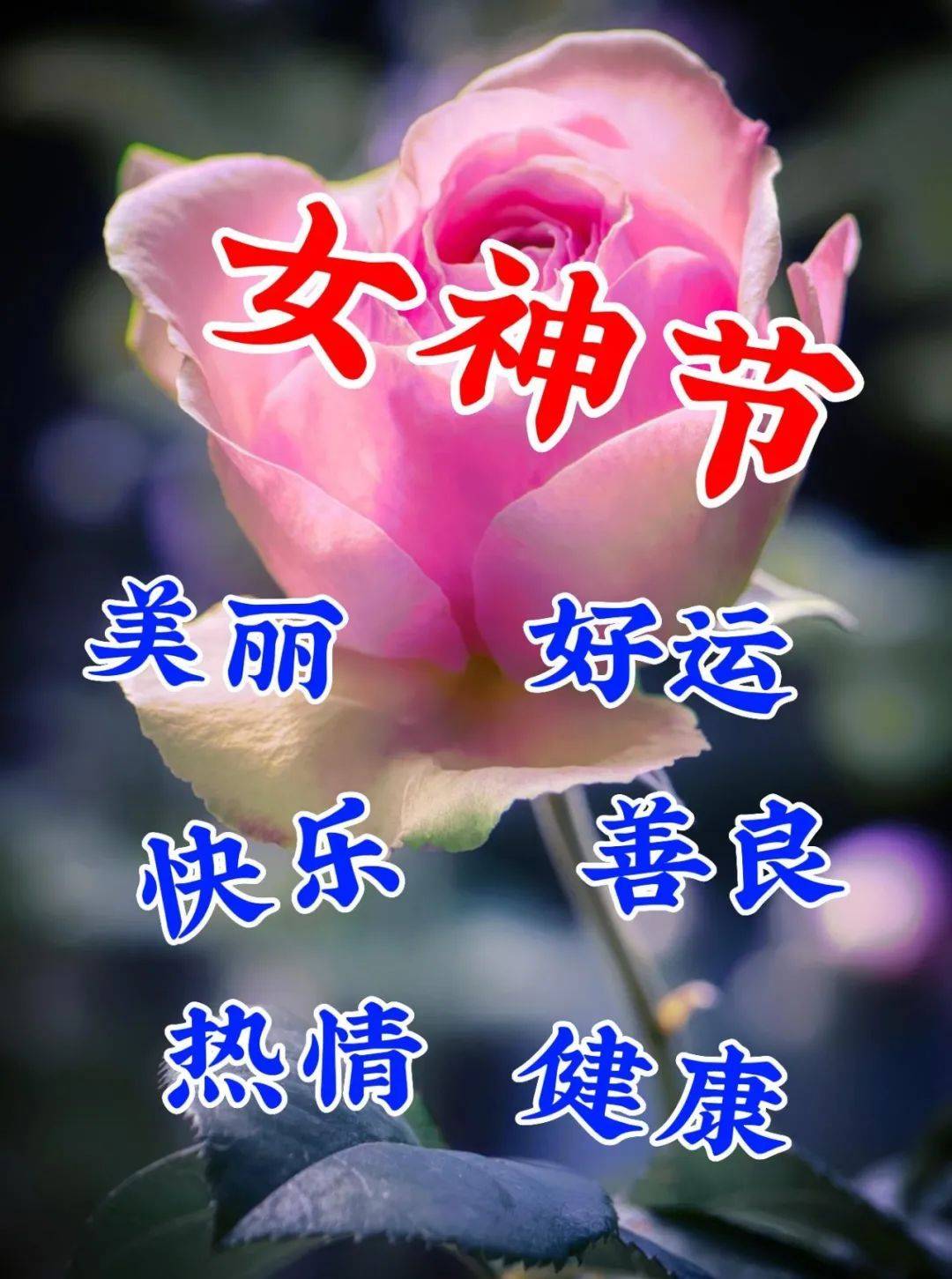 3月8日妇女节温馨唯美祝福图片问候语短句