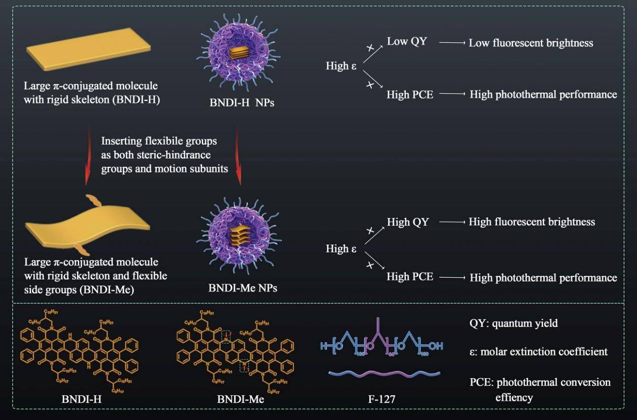 纳米探针| NIR-II 超亮荧光及超高光热转换大π 共轭单分子探针用于光热