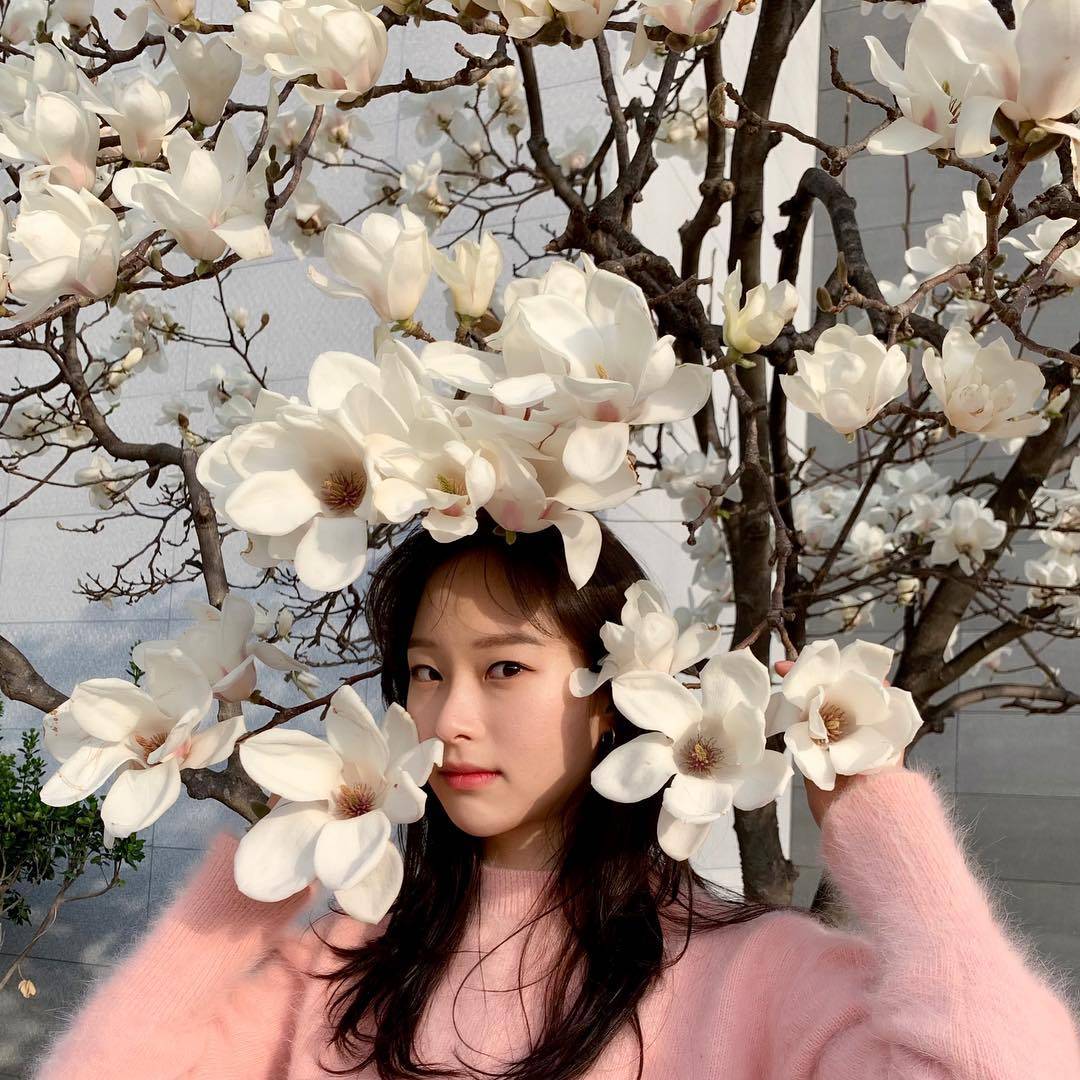 rocky曾送应援咖啡车到朴宝妍拍摄作品的剧组场地,杯套上更贴着「宝妍