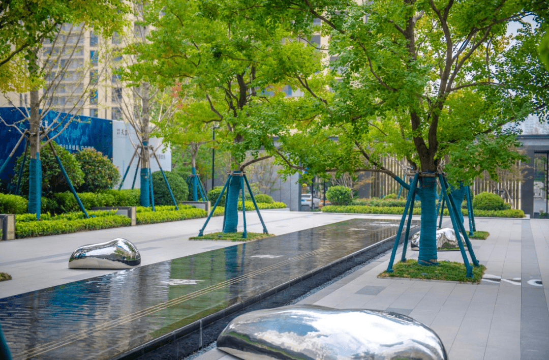 白鹭金岸·天玺|以自然的艺术,还原生活的真意_社区_户型_植物