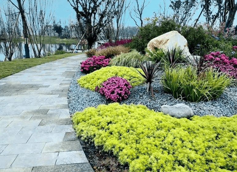 市政道路花镜的应用_色彩_绿化带_花卉