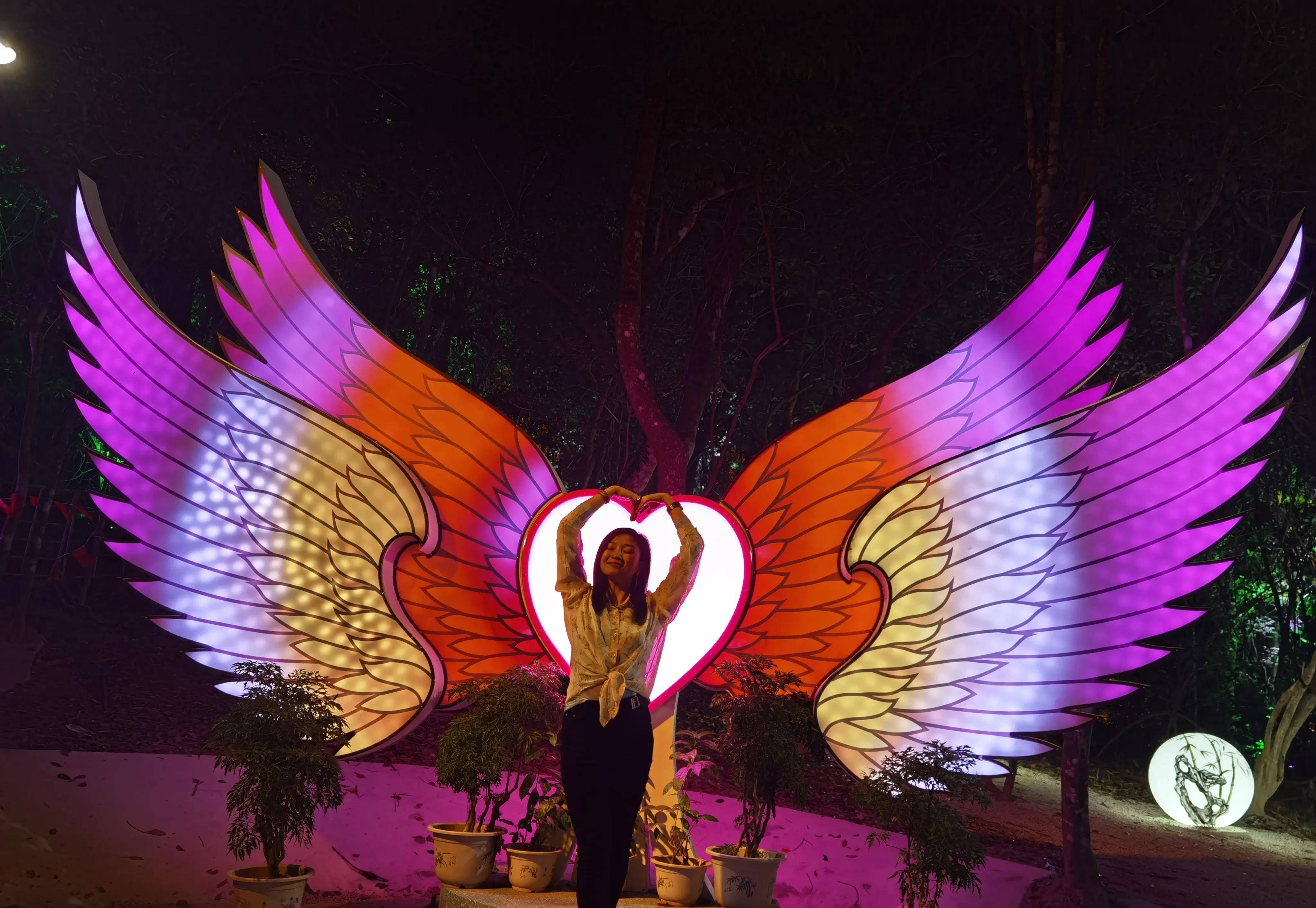 凤凰为主题一棵健硕的板根榕树上演着灯光秀一时稠密一时疏离最有趣的