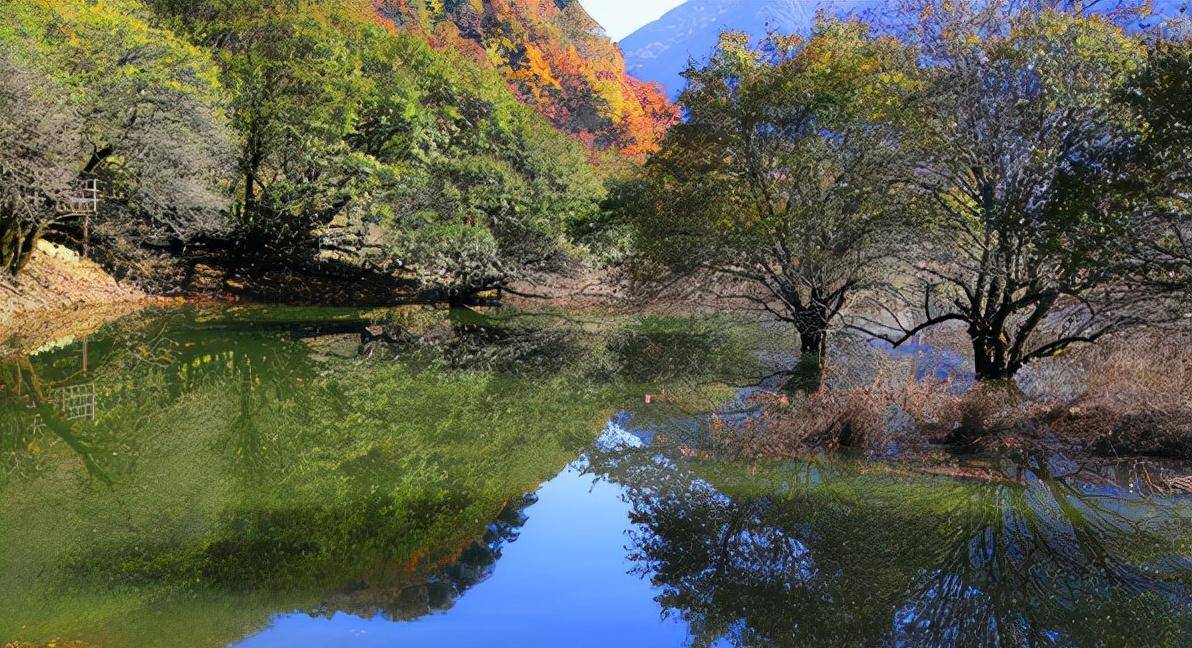 湖北绝美景区走红,享有高山平原的美誉,深受游人的喜欢