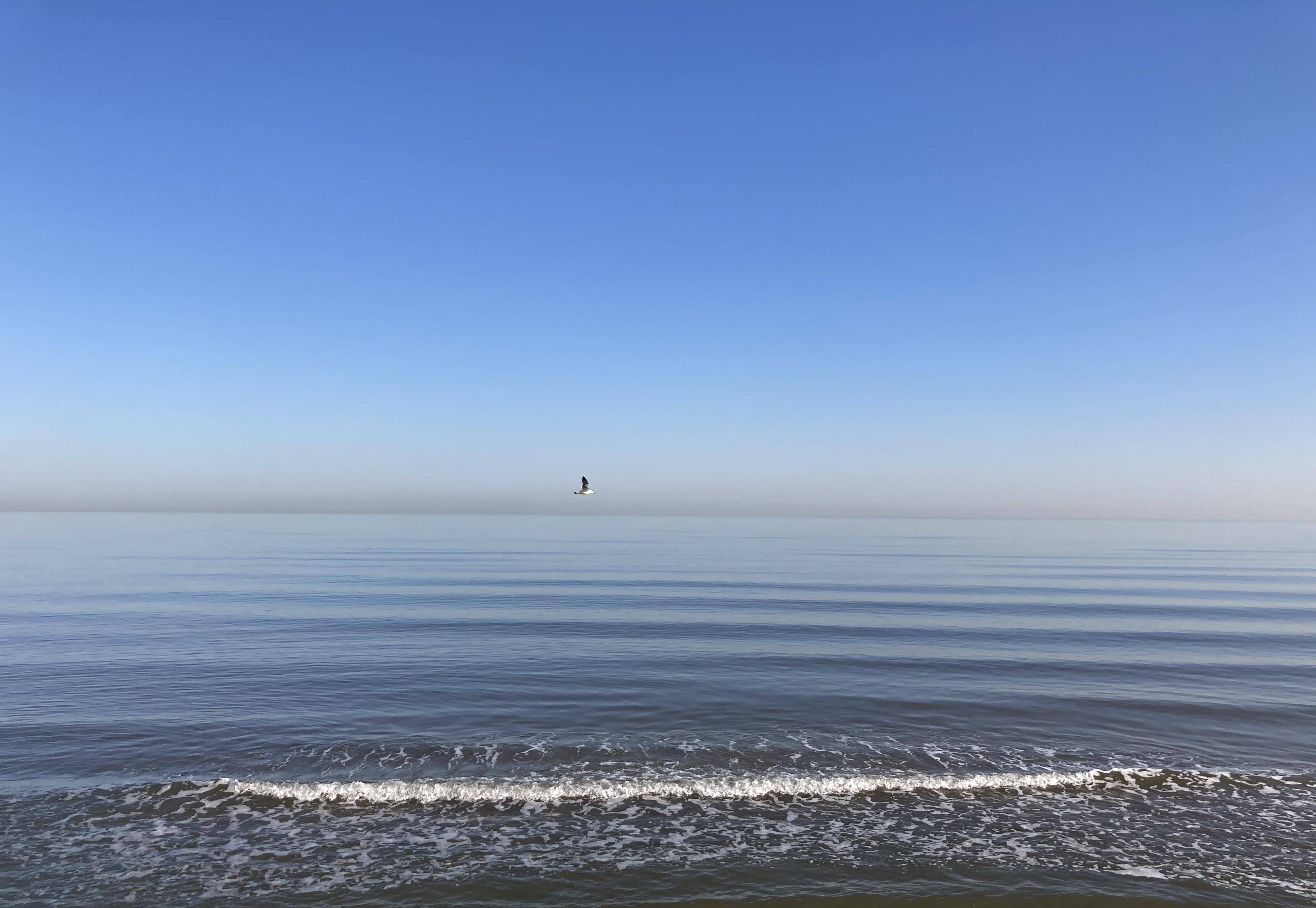 天高海阔图片大全图片