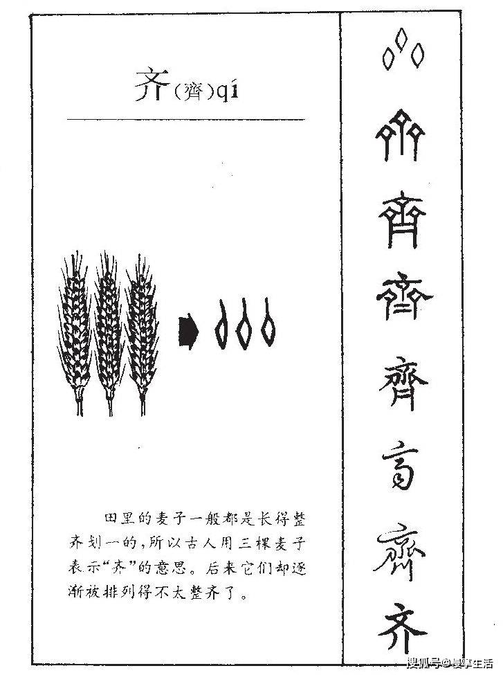 皮卞齐康——字源里的百家姓丨文兴书舍_卞字_康字_皮字