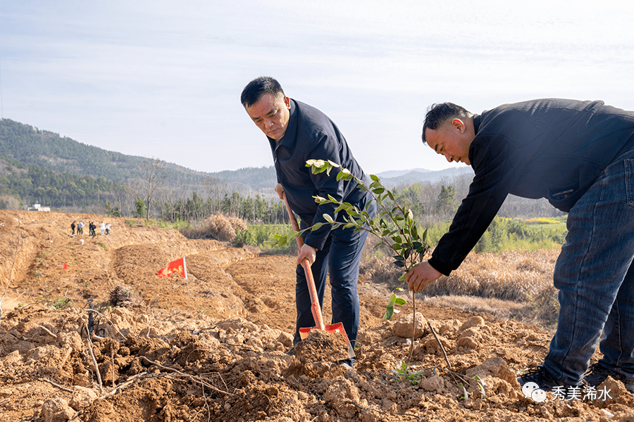 付宇等浠水县领导参加义务植树活动_油茶_全县_劳动