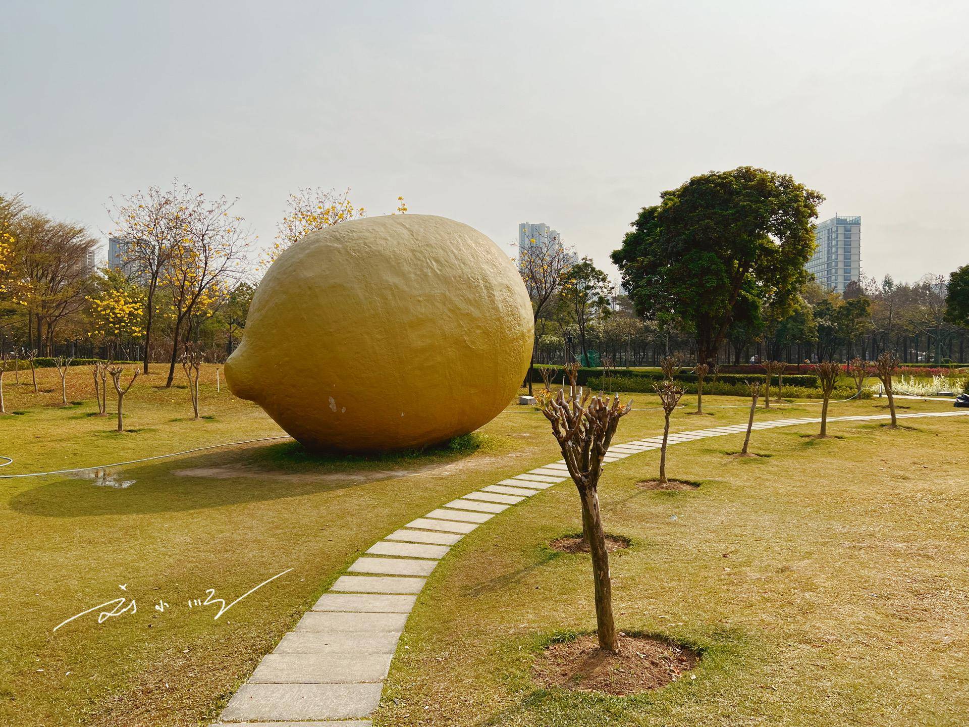 佛山市顺德区这个网红打卡点,造型奇特,被当地人戏称"柠檬精"_顺峰山