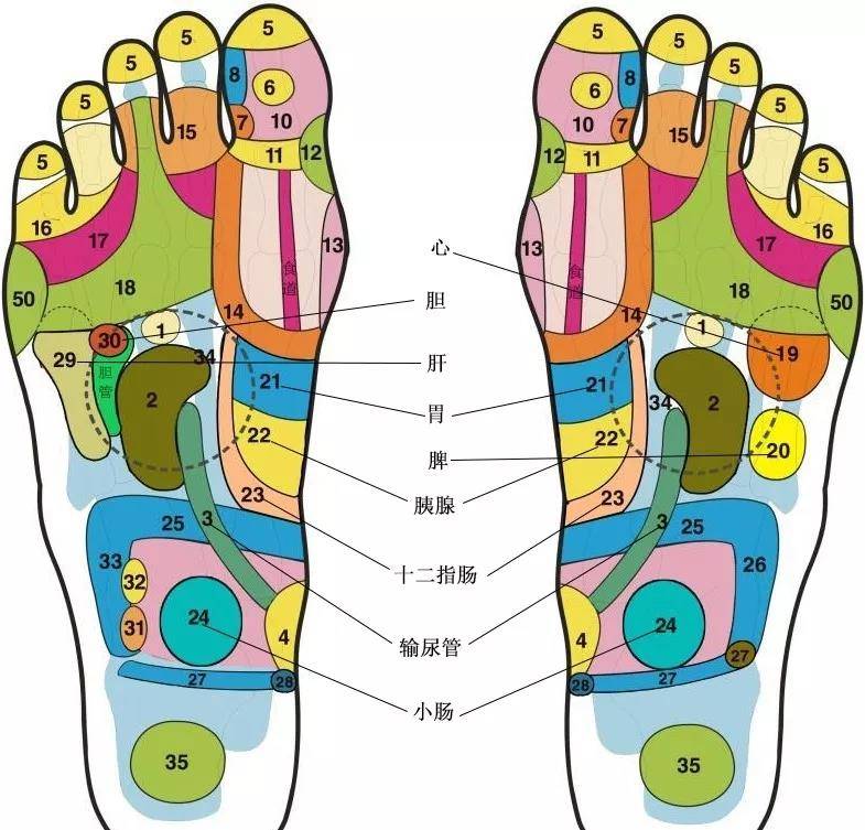 脚疼痛部位对照表图片