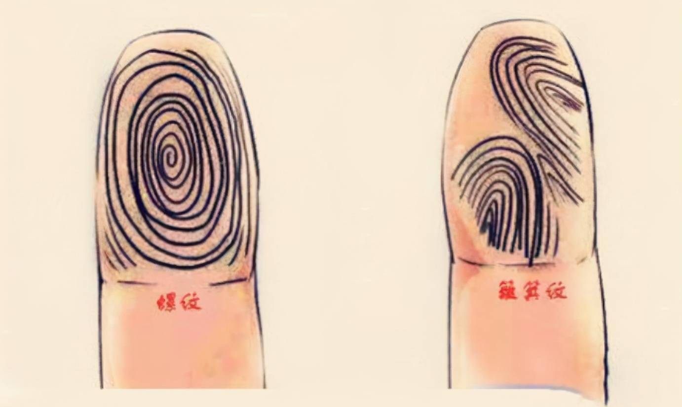 古代没有指纹识别,为何遇到事情还需指纹画押?