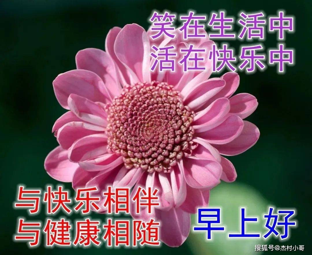 周三早上好问候语表情包动画图片 星期三早安温馨祝福语好看的图片带