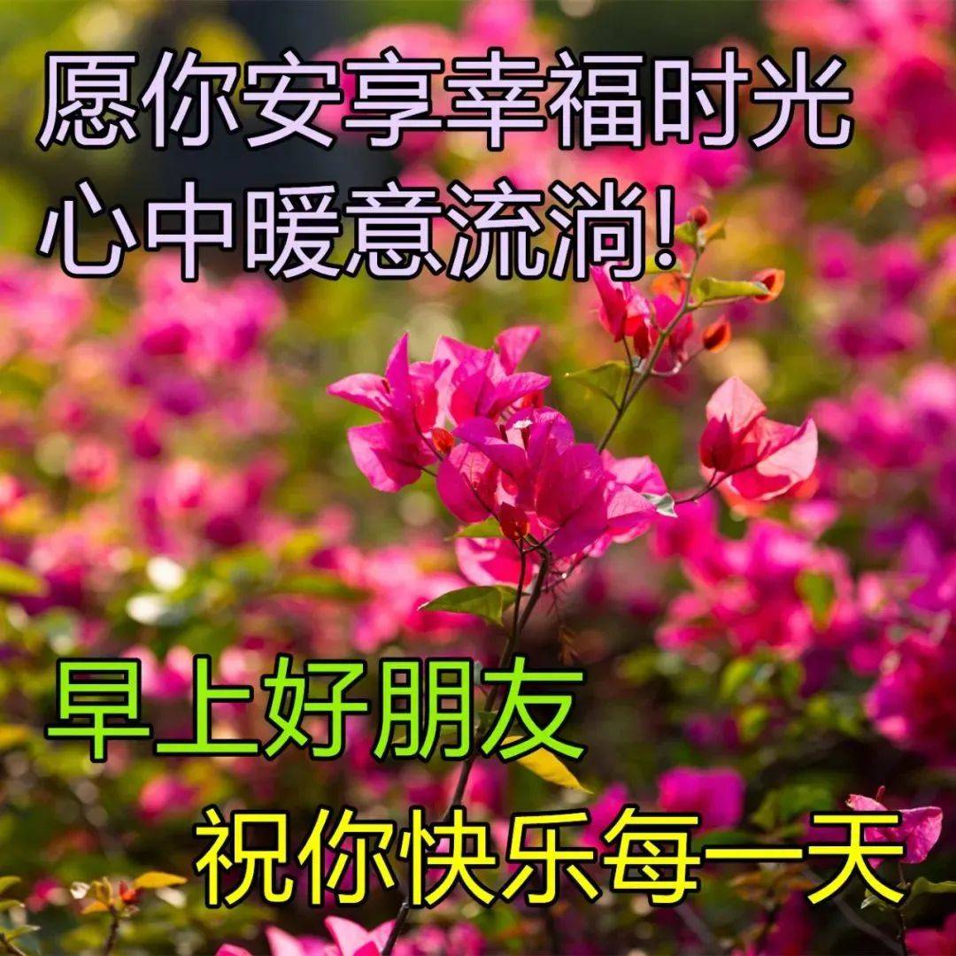 满满干货（给老师的祝福语8个字）给老师的祝福语8个字教师节快乐 第5张